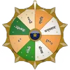 Spin to Win Bonus icon